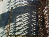 image of grave number 455790